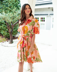 Spring Fling Dress